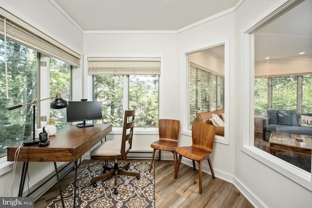 office featuring wood-type flooring, crown molding, and a baseboard heating unit