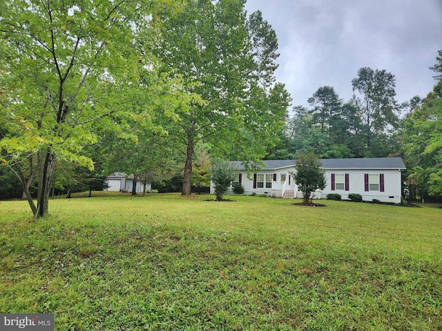 view of yard with a shed