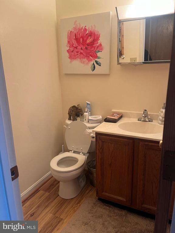 bathroom with vanity, wood-type flooring, and toilet