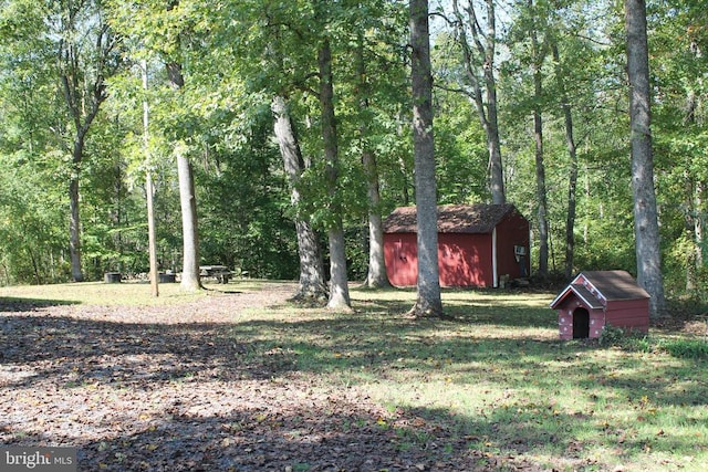 view of yard featuring a storage shed