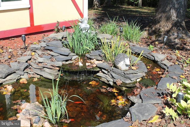 details featuring a small pond