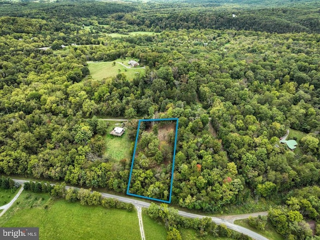 0 High View Dr, Rileyville VA, 22650 land for sale