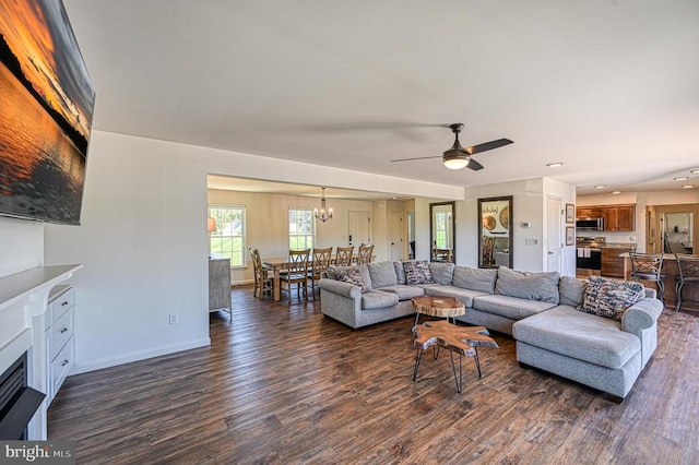 living room featuring ceiling fan with notable chandelier and dark hardwood / wood-style floors