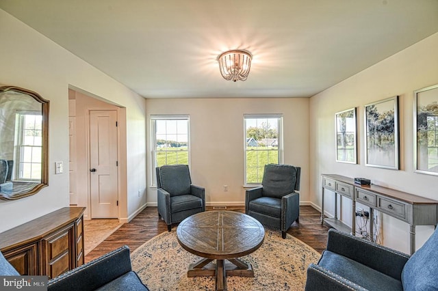 living area featuring dark hardwood / wood-style flooring