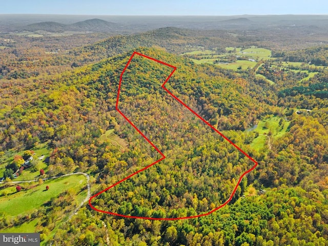 Long Mountain Rd, Washington VA land for sale