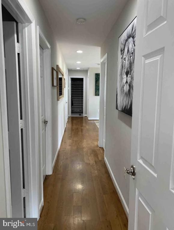 hallway featuring dark wood-type flooring