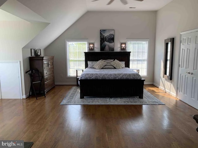 bedroom featuring multiple windows and wood-type flooring