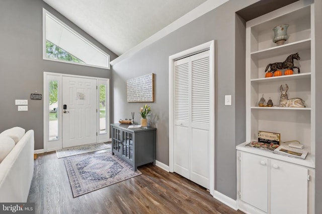 entryway featuring dark wood-type flooring and vaulted ceiling