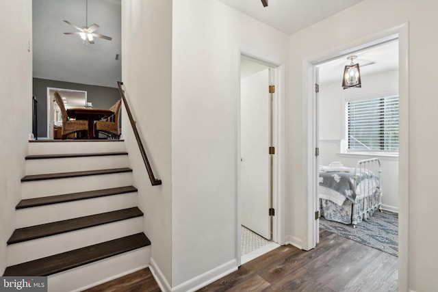 stairs with ceiling fan and hardwood / wood-style floors