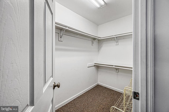 spacious closet featuring dark colored carpet