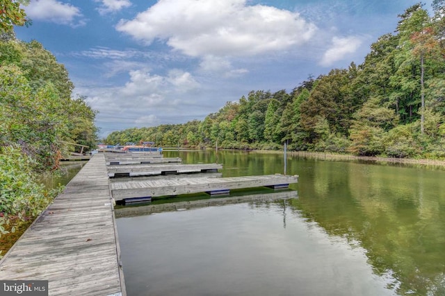 dock area with a water view