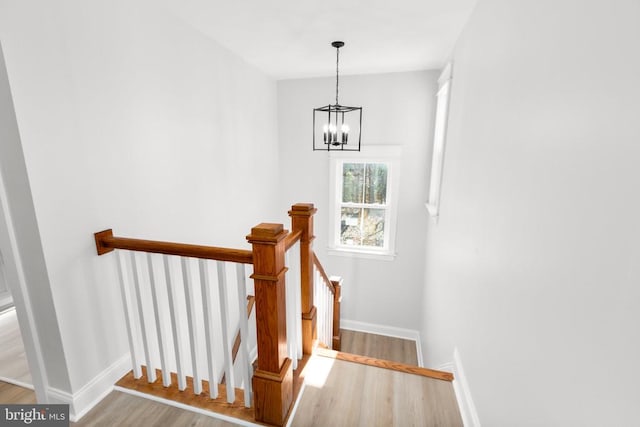 stairway with hardwood / wood-style flooring and a chandelier