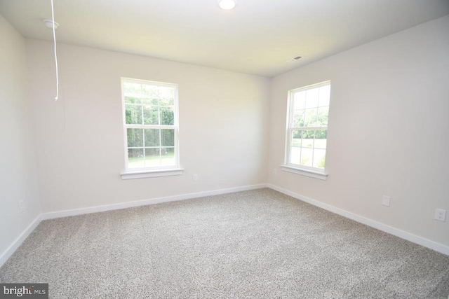 carpeted spare room with a wealth of natural light