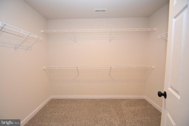 spacious closet with carpet