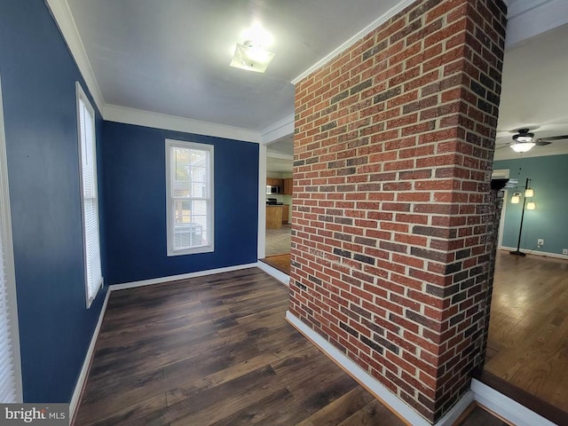 entrance foyer with ceiling fan, dark hardwood / wood-style floors, and ornamental molding