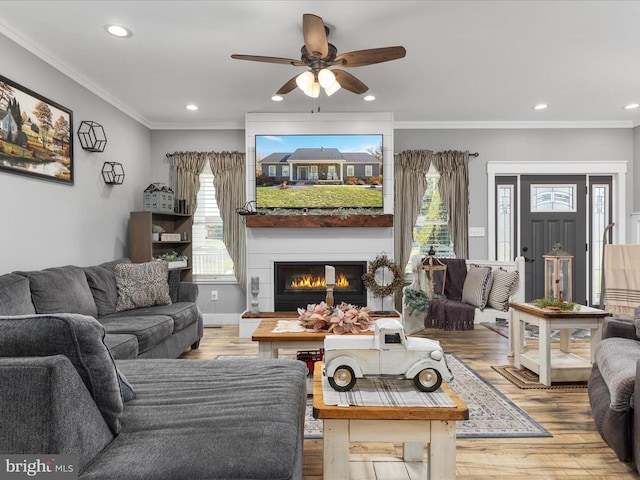 living room featuring wood-type flooring, ceiling fan, and crown molding