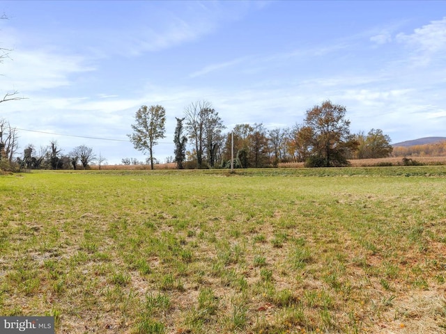 view of yard featuring a rural view