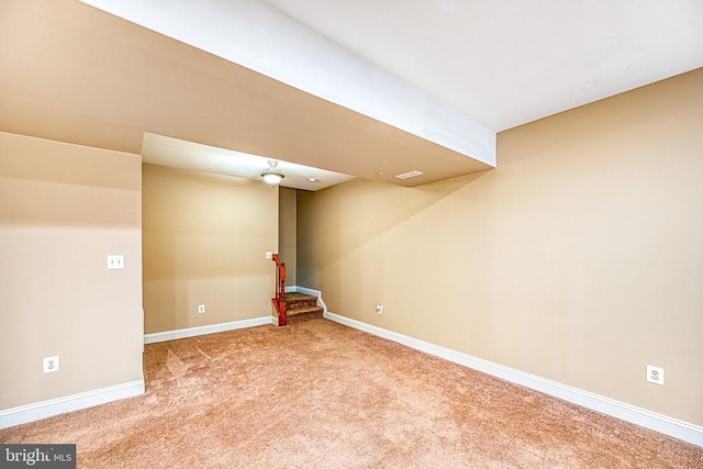 basement featuring carpet