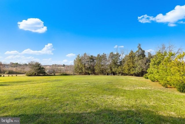 view of yard featuring a rural view