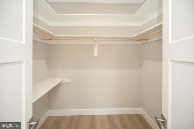 spacious closet featuring hardwood / wood-style flooring