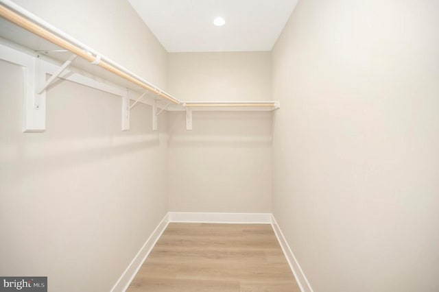 walk in closet with wood-type flooring