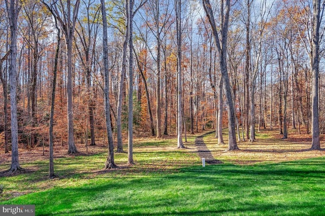 view of property's community with a lawn