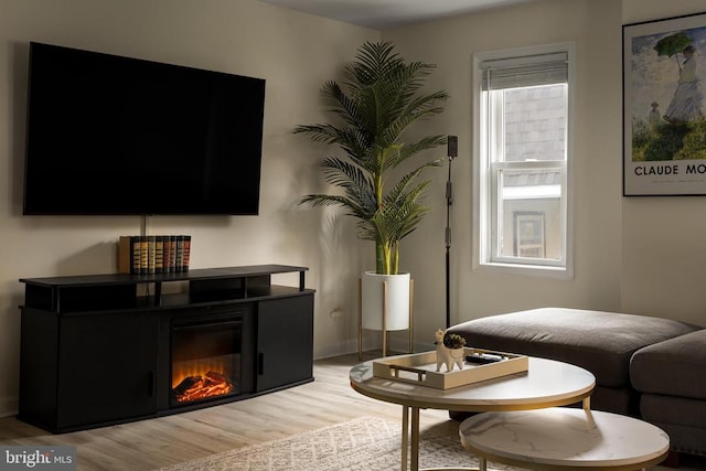 sitting room with light hardwood / wood-style flooring