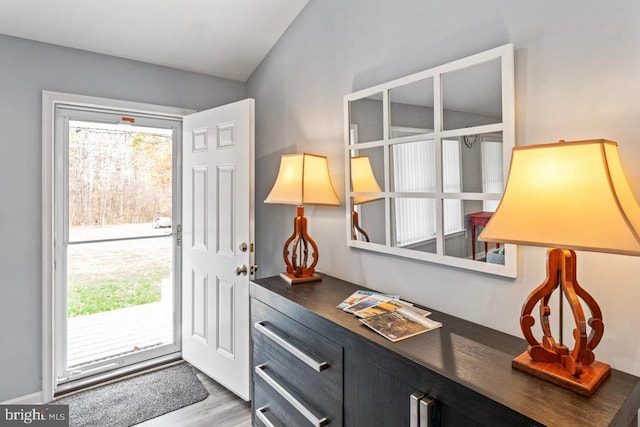 entryway featuring hardwood / wood-style flooring and a wealth of natural light