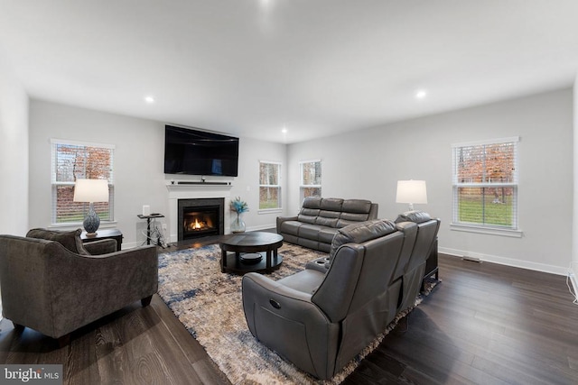 living room with a wealth of natural light and dark hardwood / wood-style floors