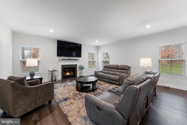 living room with dark wood-type flooring