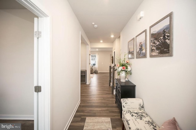 hall featuring dark wood-type flooring