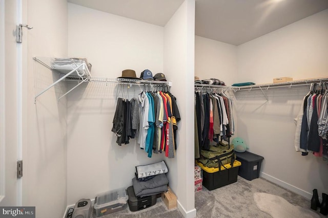 spacious closet with light colored carpet