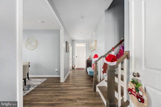 foyer entrance with dark hardwood / wood-style flooring