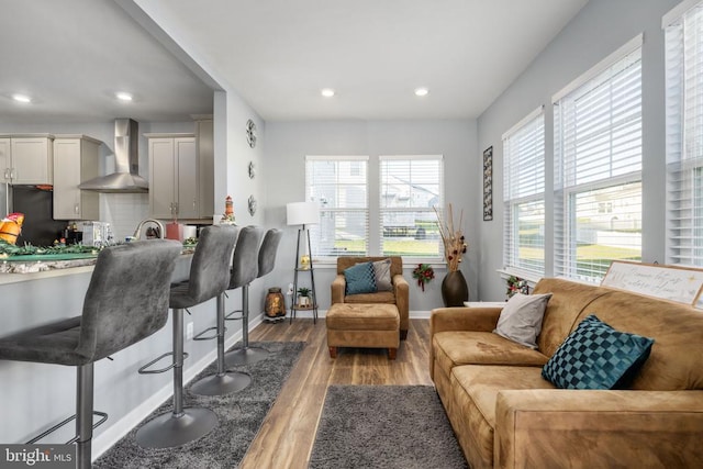 living room featuring dark hardwood / wood-style floors