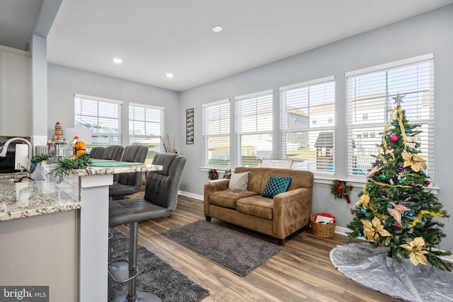 living room featuring hardwood / wood-style flooring and sink