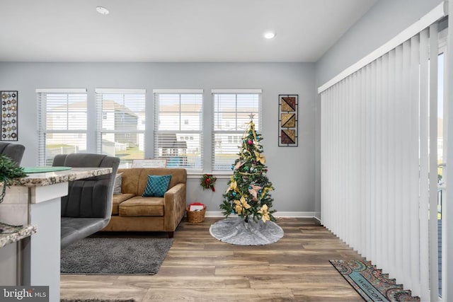 living area with plenty of natural light and hardwood / wood-style flooring