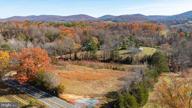 view of mountain feature