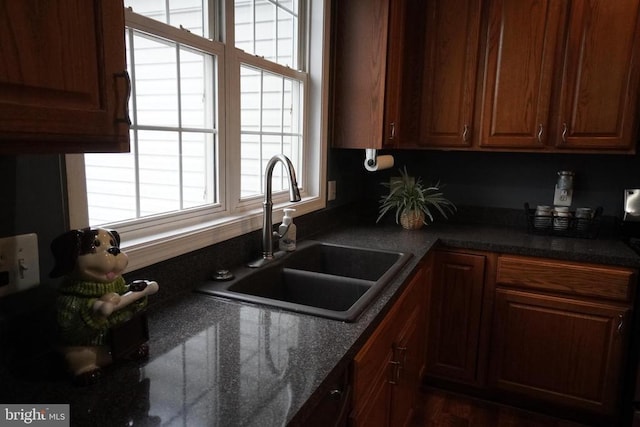 kitchen with sink and dark hardwood / wood-style floors