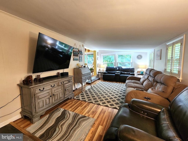 living room featuring lofted ceiling and hardwood / wood-style flooring