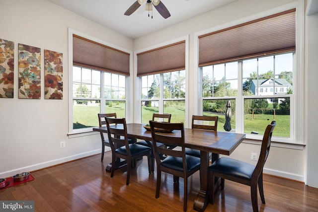 dining room featuring ceiling fan and dark wood-type flooring