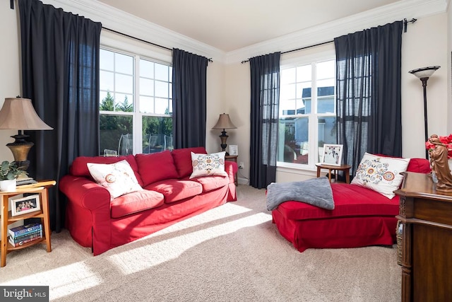 carpeted living room with plenty of natural light and ornamental molding