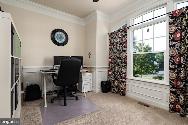 office featuring carpet and ornamental molding