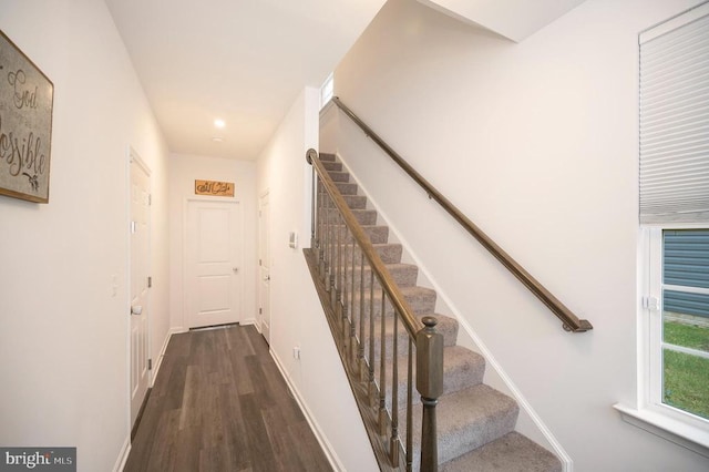 stairway featuring hardwood / wood-style floors