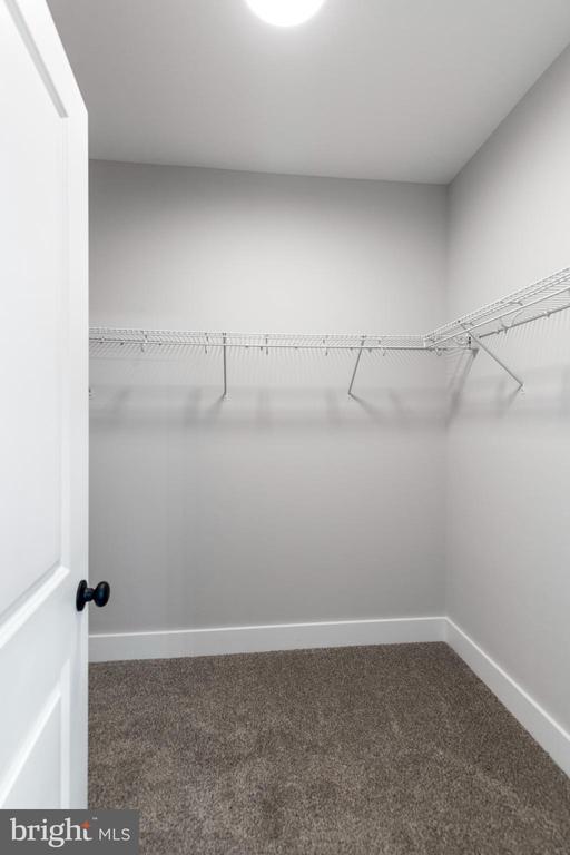 spacious closet featuring dark colored carpet