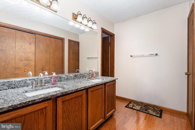 bathroom featuring wood-type flooring and vanity