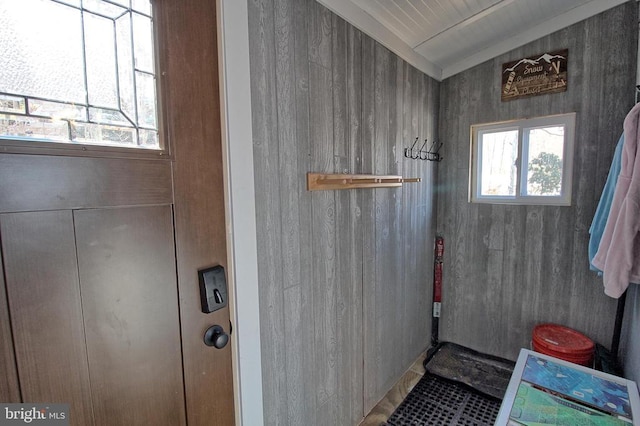 bathroom with wood walls and a wealth of natural light