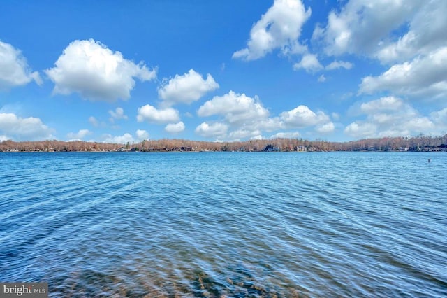 view of water feature