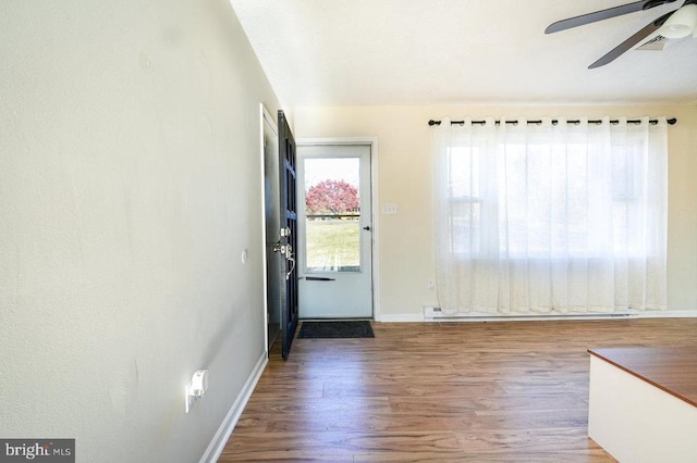 entryway featuring hardwood / wood-style floors and ceiling fan