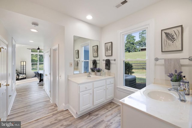 bathroom with wood-type flooring and vanity