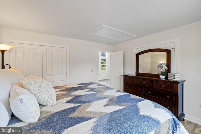 bedroom with a closet and wood-type flooring